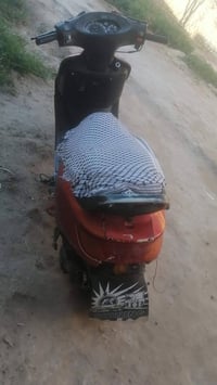 فراشه • للبيع • سعر خاص