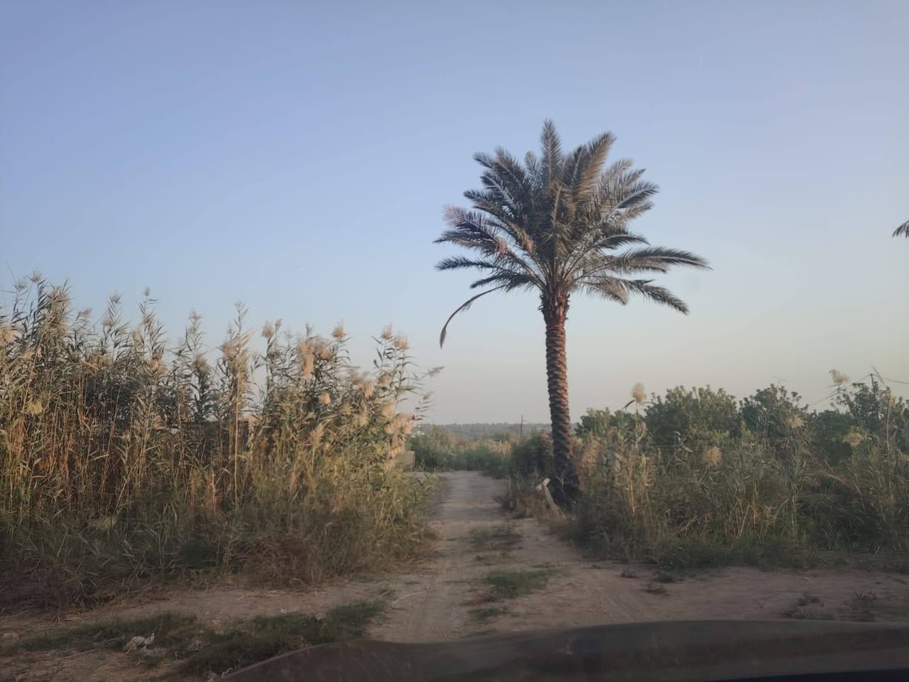 السلام عليكم ١٢ دونم للبيع سند ٢٥ سلمان باك منطقه الج خدمات كامله ماء تبلط كهرباء سعر الدونم ١٢٠ مليون ***********
