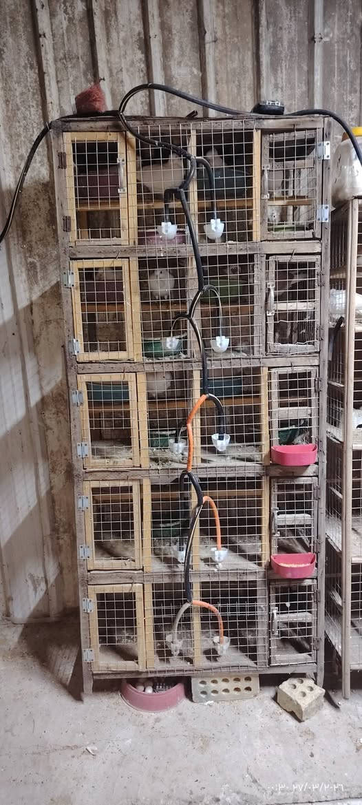 السلام عليكم متاح خانات للبيع ام ال 10 كامله طوافه وسله ب 35 وام الاربعه طوافه كامله ب20 قفل وام الثلاثه ب 10 قفل مكاني جكوك قرب البالات رقم 📱 ***********
