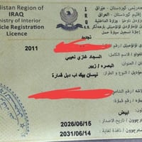 نيسان بيكب • ٢٠١١ • لوحات دولية