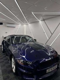 موستنك ايكوبوست • ٢٠٢٠ • ضرر ٣ قطع