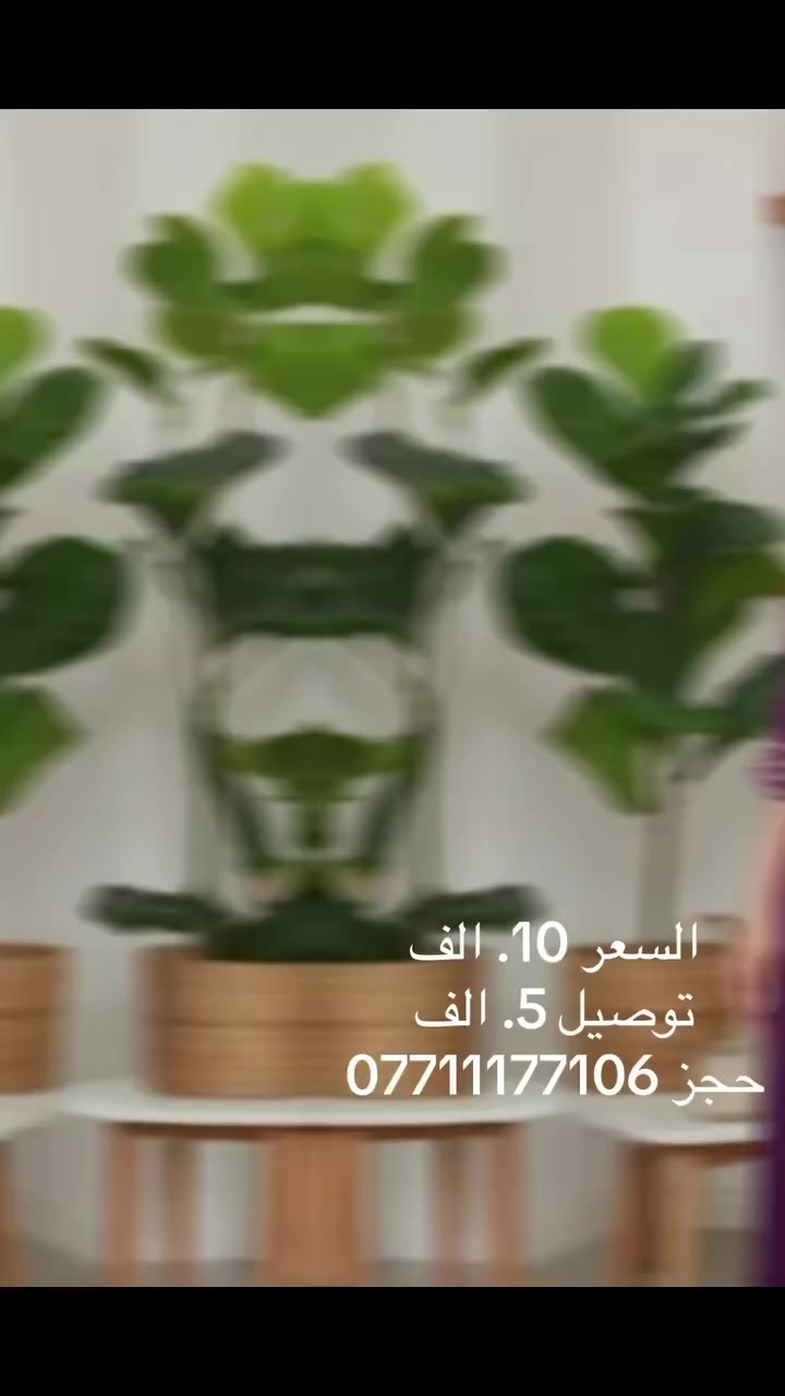 🌟 خامة كشمير سادة
شغل تطريز  يجنن✨
قماش ناعم، خامة مكفولة ✅

📏 2Xl. 3XL. 4XL. 5XL

🎨6 ألوان  
سعر 10.  الف  توصيل 5. الف 
موقعنا بغداد المشتل. شارع المطبك. 
مقابل مختبر المشتل الطبي 
حجز ***********.  #دشاديش #الشعبالصينيمالهحل #دشداشة  #مخوار #شلحات #دراعات #بجامات #اكسبلور #المشتل #اسعارنا
