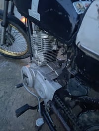 تراوس • شغاله • للبيع