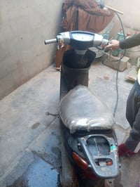 عصفورية • عوزه ترتيب • شغاله