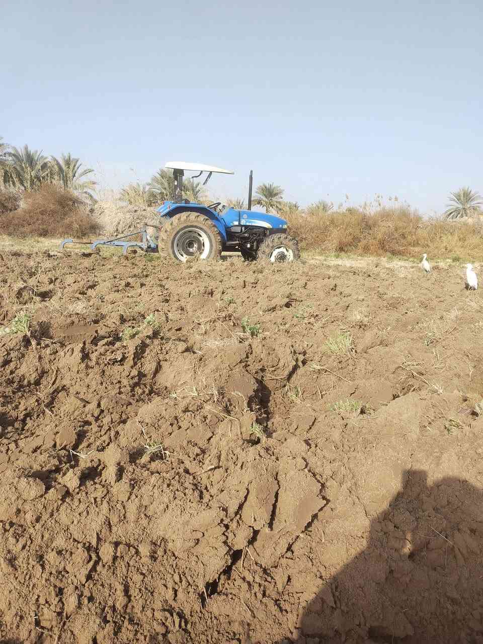 للبيع نوهولند موديل ١٤وكاله للتواصل ***********
***********
