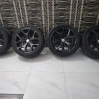 تخم ويل جاجر حجم 20 النضافه 80 ب 100 لبيع بسعر مناسب 07732707010