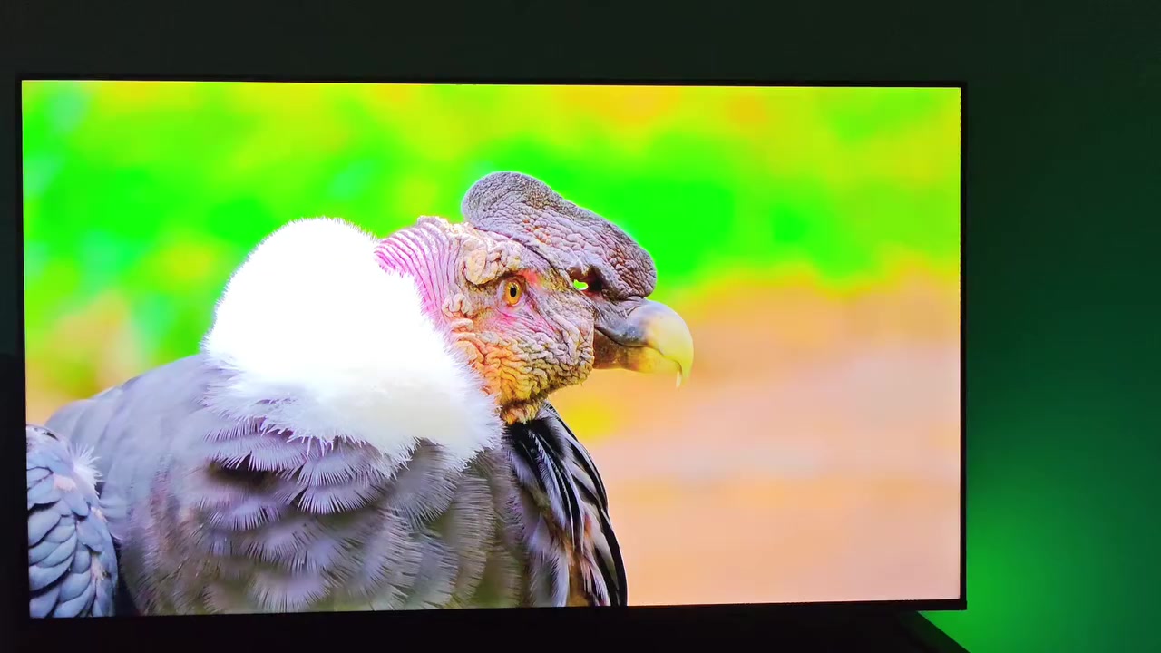 TCL C645
TCL C645 QLED 4K 55" 120Hz DLG HDR 10+ FreeSync

نظافة 100% - بدون خدش / السعر 550,000 الف دينار


**إذا كنت صاحب هذا الإعلان وتريد حذفه لأي سبب، رجاءا أرسل رسالة إلى الدعم الفني**