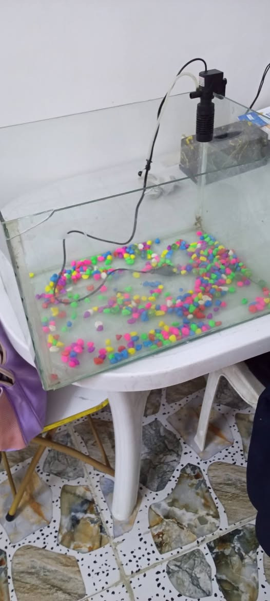 حوض سمك مع حجر وفلتر سعر 25 الف
حي لانتصار ***********
