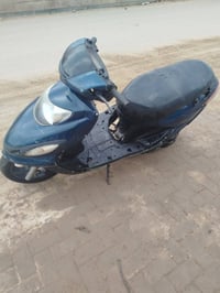 دولفين • تحتاج سلف • قضاء الشاميه