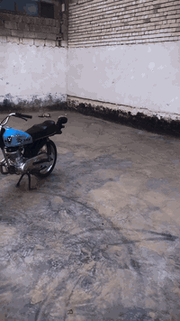 موتور • ٤ كير • مكينة اصلية