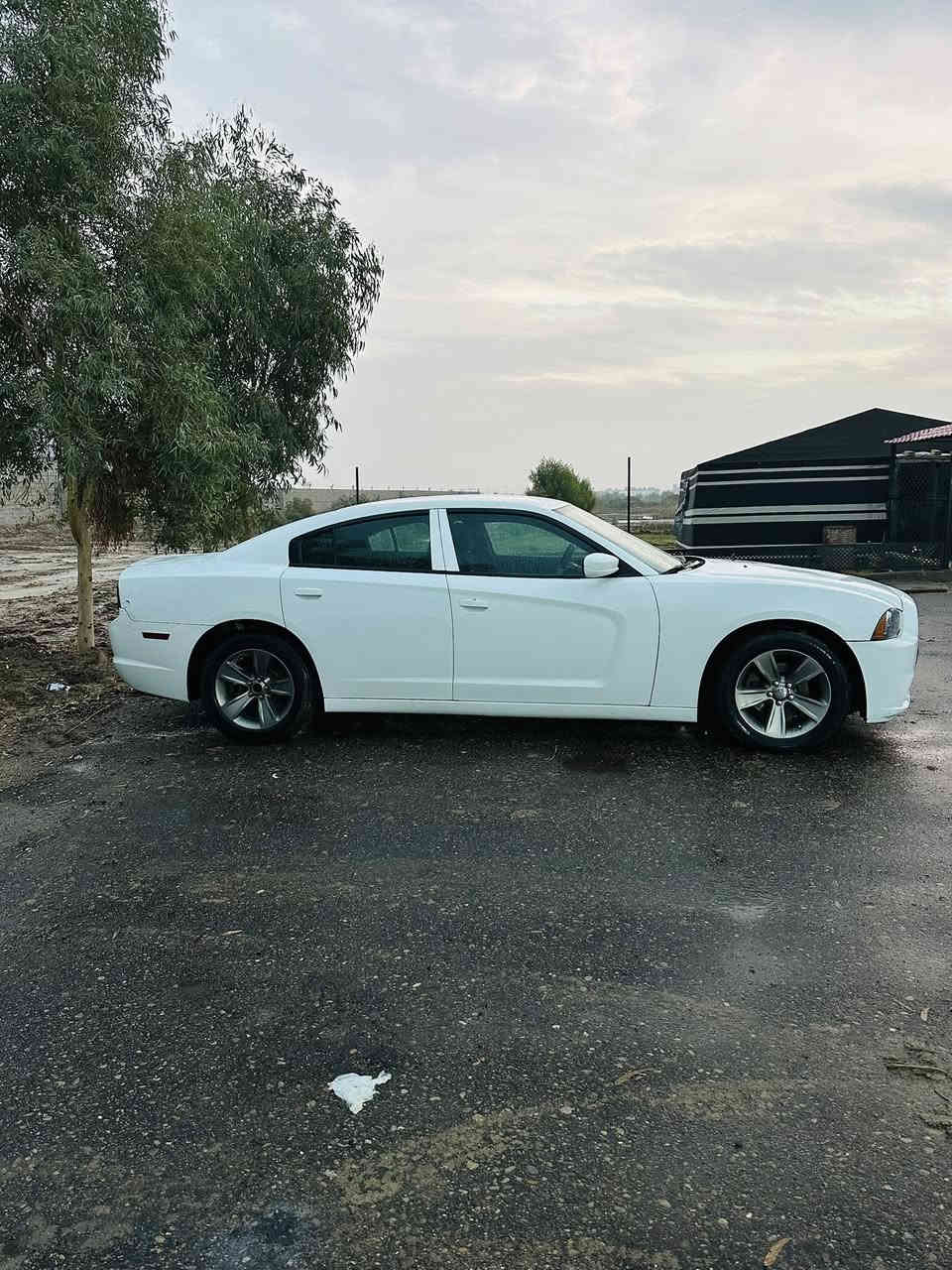 جارجر 2014متومه وجهازه ارقام وسنويه سياره جاهزه ما ناقصه برغي خم تاير حداديه تبريد محرك 3600وكير عصه سياره كصه جنطه  السعر 76وبيه مجال المكان ميسان كميت ***********
