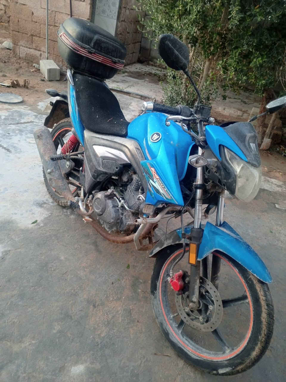 صباح الخير 

دراجة هاوجي موديل 16 جاهز من كلشي مسجل وتحويل ثاني يوم مكاني الرمادي 5 كيلو 
السعر مليون ونص 
***********
