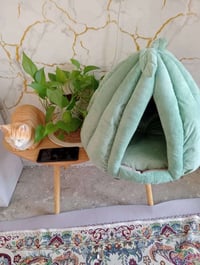 بيت قطط • حيوانات أليفة