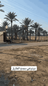 دونم في مجمع الطارق واجها :42 متر
***********_***********_***********
