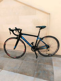 فيلت • شيمانو تياغرا • قياس ٥١