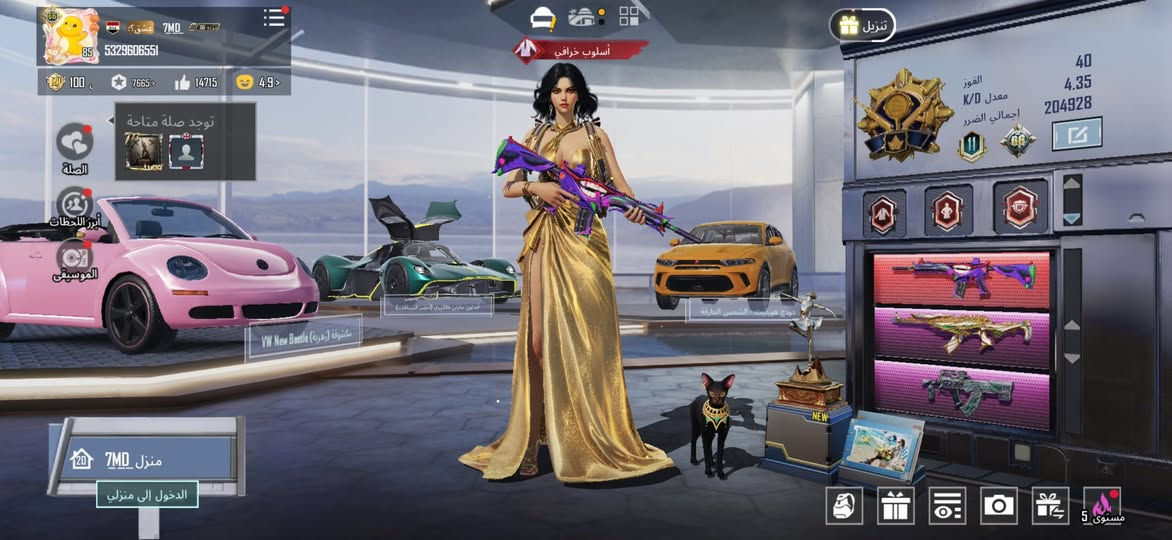 حساب ببجي عالمية مستوى85 مستوى المجموع 66  سعر الحساب جان 550 وصار 500 الف قفل مكاني بغداد الحرية الحساب تجي تاخذه من باب البيت  رقمي ***********
