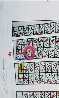 القادسية الثانية • ٤٥٠م • طابو زراعي سند ٢٥