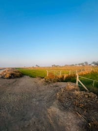 ٤ دونم وربع • الدوايه ورا المستوصف • طابو زراعي