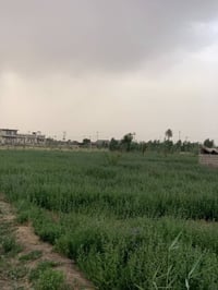 قضاء الدغارة عالشط • ٢ دونم • قرب مرمض