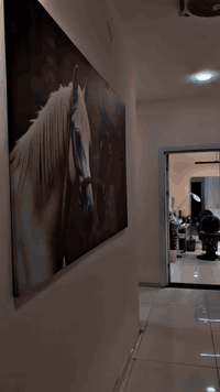 شباب فدوه لعينكم لي ميريد يشغل لا اخاربني خابروني ب 20واحد واتفقو وياي ولا واحد اجه اني تره مو شغلت شغل بس اريد احد اعتمد عليه من اطلع لين عندي هواي شغل مدا اكدر اكمله من وره المركز  

سلام عليكم شباب محتاج حلاقين من الدوره المكان جاهز من كلشي وموقعه حلو قريب على الكليات الفاربي ودجله والتقنيه 
اهمشي كون الحلاقين خبره وملتزمين المكان جاهز من كلشي شسوره +تدفه تبريد 24ساعه فرصه حلوه لهواي حلاقين اطورن من نفسهم وعدت تصور كامله واني اساعدكم بتوريج موضع الماديات مومهم عندي اهم شي شغل حلو وما اقصر ويه اي احد للستفسار ***********
