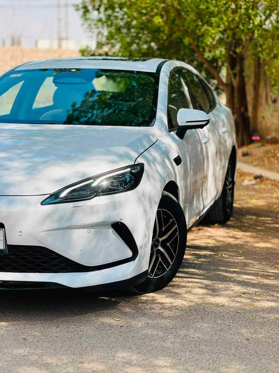 سلام عليكم بي واي دي سيل فايف 2025 فول الفول فتحة بصمة 13 كاميرا ويل كب كروم جلد ابيض وباقي المواصفات المعروفة السونار مرفق بالمنشور للبيع فقط السعر 18700 للاستفسار *********** مكاني بغداد
