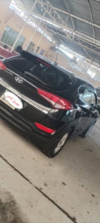 توسان فول • ٢٠١٦ • رقم اربيل