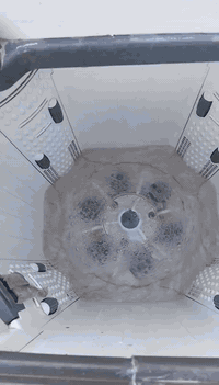 دنكا • ١٣ كيلو • القبق مفقود