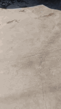 أوباما للبيع موديل 23 أصل خليجي مكفولة كفالة عامة رقم بغداد انكليزي تحويل ثاني يوم داخل عسلي السيارة خليجية مكفولة كفالة عامة اي استفسار الاتصال على الرقم فقط ***********. اعتذر عن الخاص والتعليق
