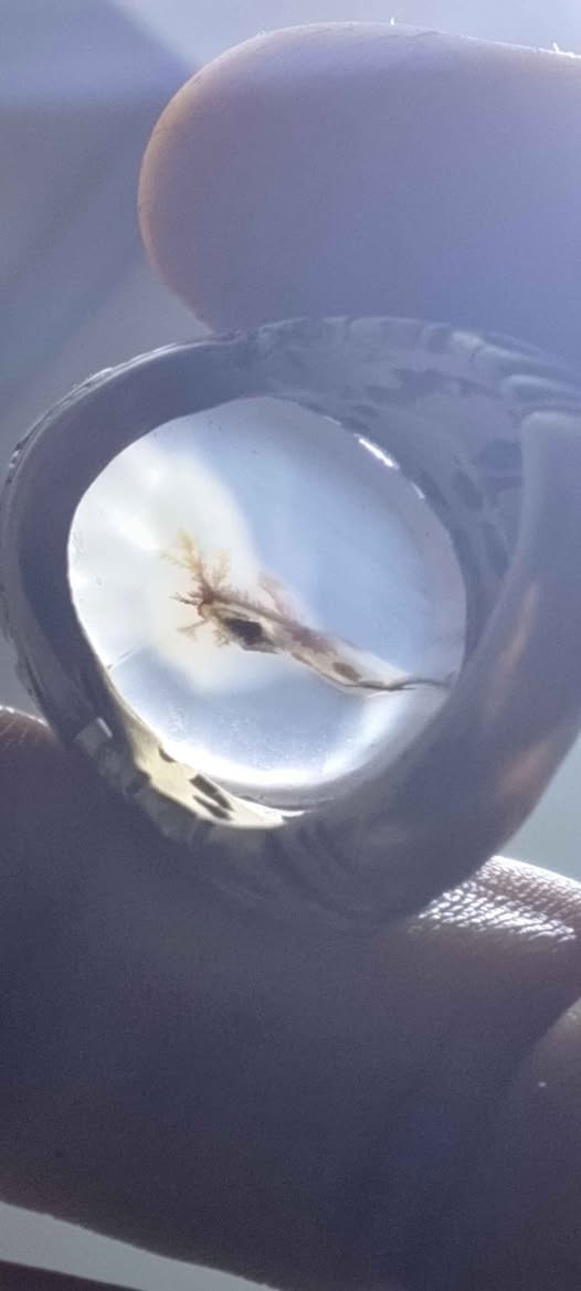 محبس فضه يماني اصلي قديم 
سعره40 البصرة, العراق


**إذا كنت صاحب هذا الإعلان وتريد حذفه لأي سبب، رجاءا أرسل رسالة إلى الدعم الفني**