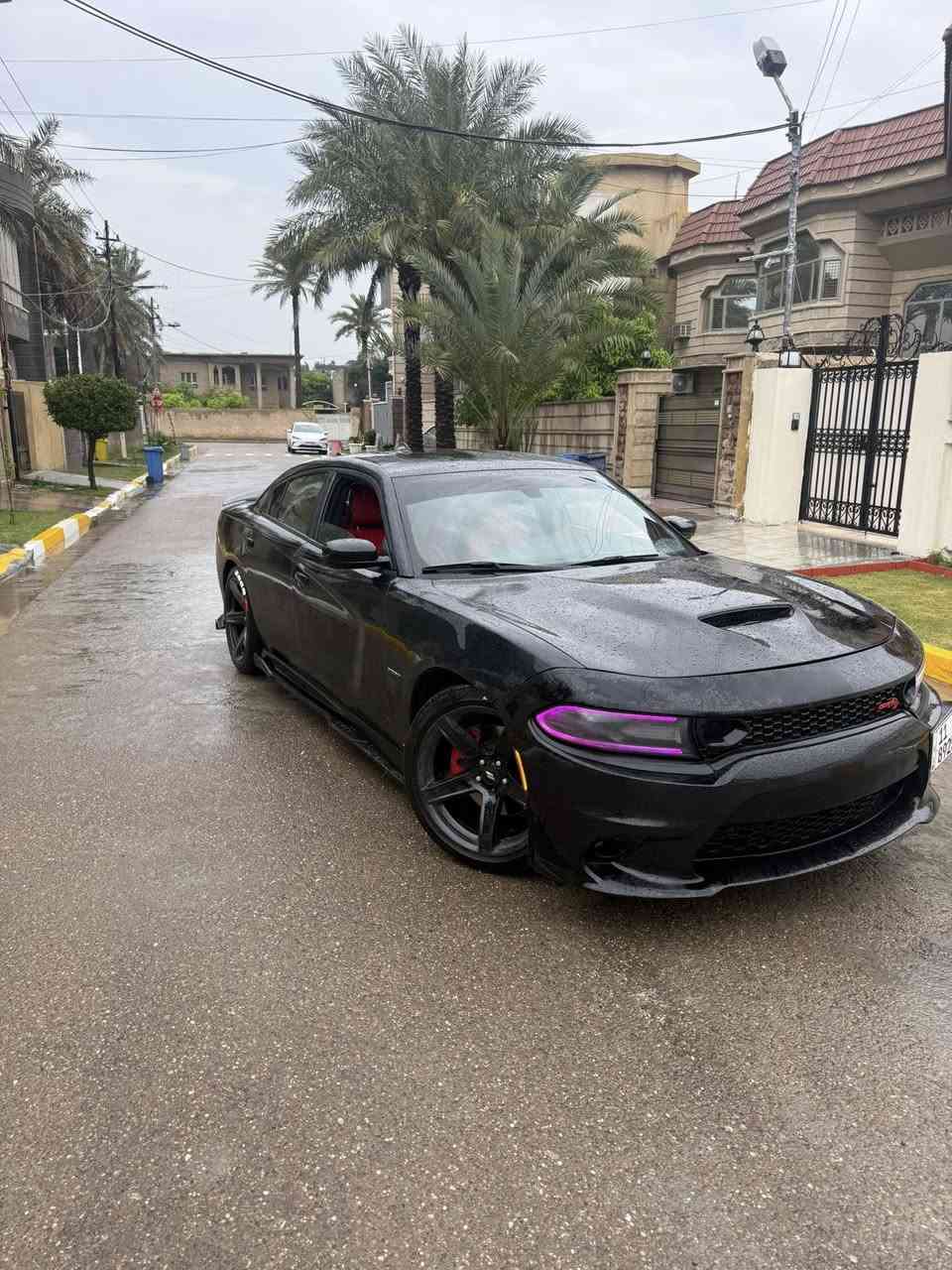 دوج جارجر ارتي موديل17 فول عدا الفتحه
مكينه 5700
السياره جاهزه من كلشي نقص برغي مابيهه +عليهه هواي اضافات بيهه برمجه مرعبه طلقات شلعه ونضام الاقتصادي السياره بسرعه80وجوه4سلندر وبيهه برمجه تتحمل بانزين عادي كت اوف سيفتي +السياره بيهه دبل مروحه  حراره متوصل لل95 +بيهه لد داخلي متغير دشبول+لد امامي متغير بالتليفون تخم تايرات صدر حداديه كله جديد وممتاز

حادث السياره من امريكا جايه طعجه بالجاملغ وعابر عالبنيد مابيهه ضربه يعني وهنا بالعراق ابو دراجه شخطلي بابين عكس السايق السياره بيهه4قطع يعني
ويل نجمه اصلي
كير مكينه لغد شاصي كله شرط كفاله من كلشي
مكانهه بغداد الزعفرانيه ***********
سعرهه 184
