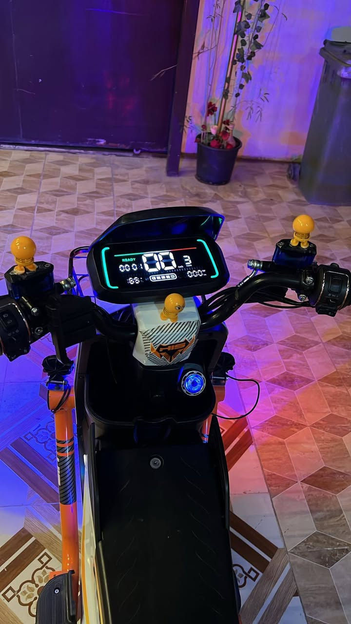 البيض سعره ٤٥٠ الزيتوني سعره ٥٠٠ شرط الفحص ثنين هم مكان كركوك ***********
