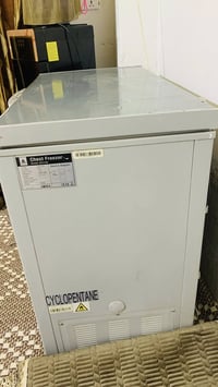 مجمده البيع حجم وسط نضيفه تجميد كلش حلو جدا.السعر 250 بيه مجال 0780873...