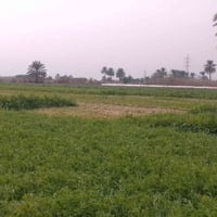 اليوسفية • ٤دونم • طابو زراعي