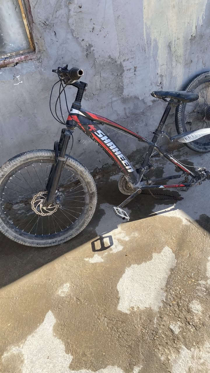 باسكل جبلي للبيع التاير الخلفي ما يشتغل ابيع كوم حديد ب 15 الف قفل قفل مكاني كربلاء الامن الداخلي


**إذا كنت صاحب هذا الإعلان وتريد حذفه لأي سبب، رجاءا أرسل رسالة إلى الدعم الفني**