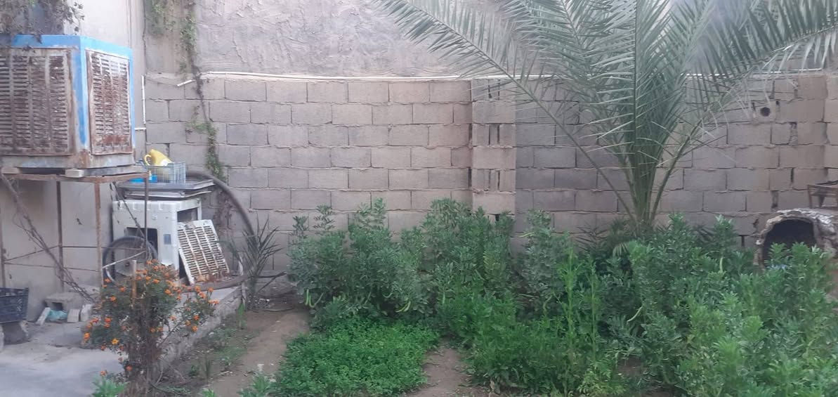 بيت للبيع  طابقين مساحة ٢٥٠ م في الانبار عنه حي العبور قرب محل ابو خالد للغذائية يحتوي على ٣ غرف نوم + استقبال + مطبخ + حديقة +محل عدد ٢  للتواصل
***********
