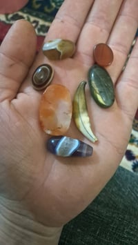 ديالى • هذن • بدون سعر