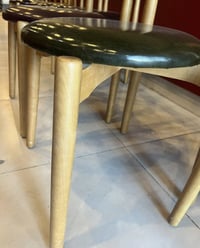 كراسي زان تركي • غير مستعمل • ١٦ قطعة