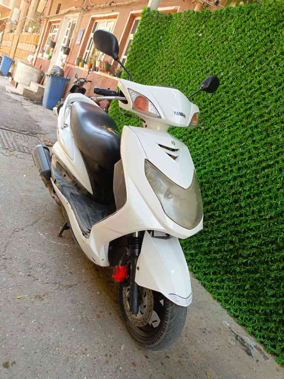 سلام عليكم سكنس فحل رمبه مكفوله كفاله عامه بعدهي بحالة الوكاله نص نكره سلف اي نقص مابيها السعر 600 مكاني بغداد الكرخ قرب مقهى اورق موجوده ***********
