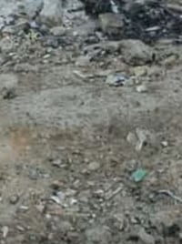 قطعه ارض 110 منطقه القدس الفضيليه بغداد رقم الهاتف  07719742661