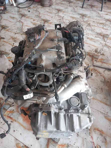 ***********
***********
العنوان الدجيل
