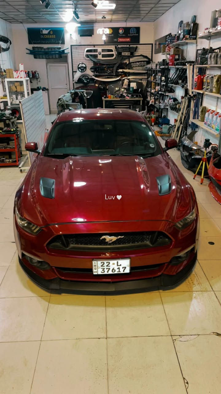 موستانك 2017
ماشية 90 ميل 
صبغ عام
مابيهة نقوصات
مكان اربيل 
125 وبيهة مجال
*********** أربيل, العراق
