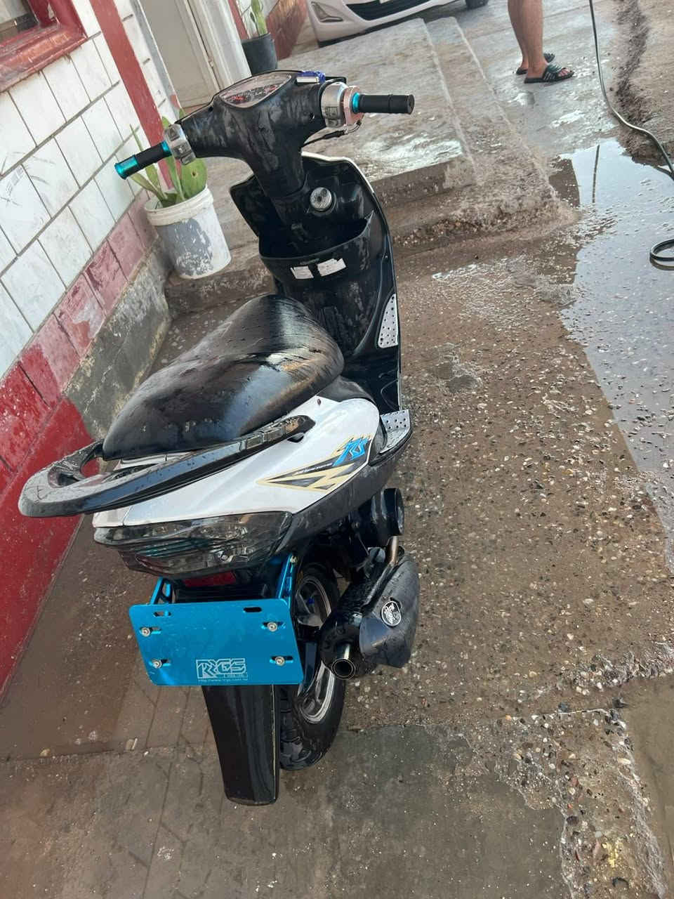 ماكس عدله بوشه 55 مزوده كهربائيات كلهه شغاله كزوز رياضي FM كفرات اصليه مختمه سعر ٦٧٥ وبيه مجال الهاتف *********** مكاني بالكزيزه
