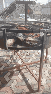 الفاو الجنوبي • اسماك بحرية ونهرية • شوي