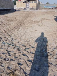 ابنزلة سيد جابر • ٣٠٠م • زراعي جاهزة للبناء