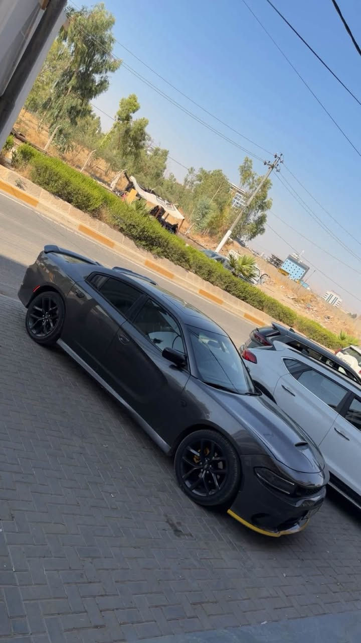 السلام عليكم 
جارجر 2020 فول موصفات sxt plas  بيها صبغ باب وجاملغ. والبوند مال تحديث بدون دواخل بدون ايربك ماشيه 140 السياره جاهز من الطخم من كل مكينه كير بشرط مامفتوحين ولا بيهم شي  السياره بأسمي رقم دهوك 
مكان السياره موصل 
رقم التلفون *********** 
السعر 195 ورقه

