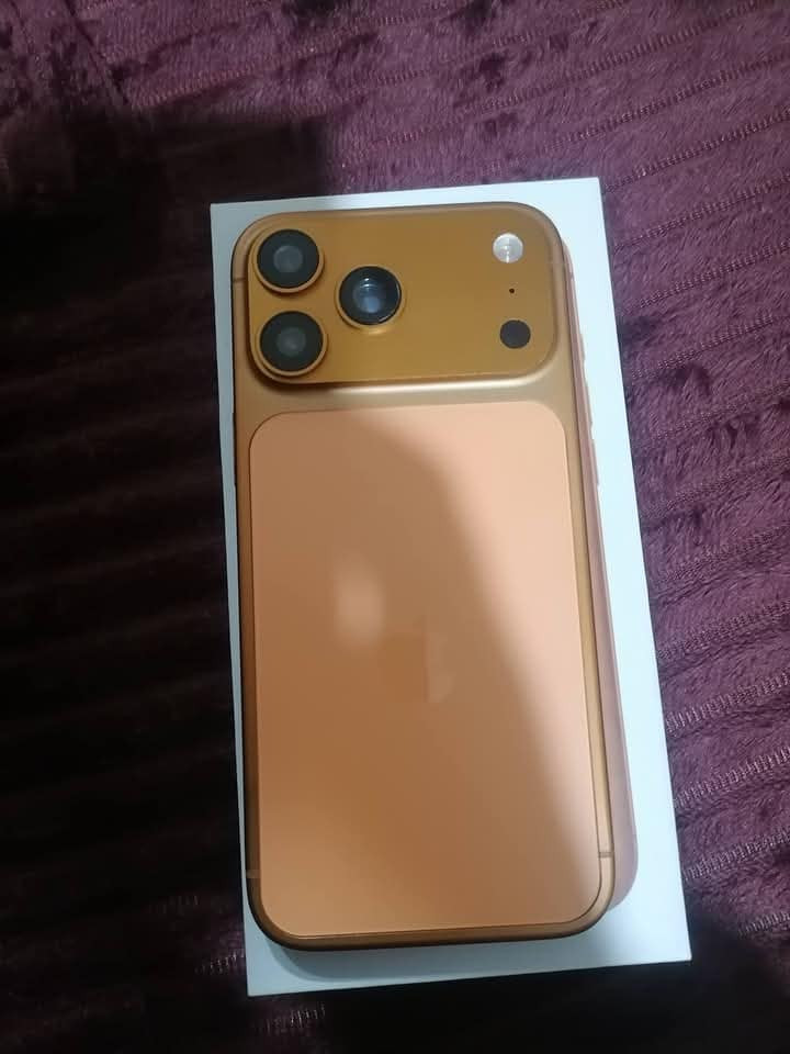 120لف*********** العنوان الصويره شجيريه
