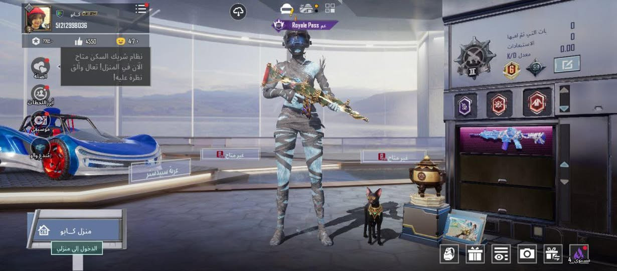 سلام عليكم حساب للبيع او مراوس


**إذا كنت صاحب هذا الإعلان وتريد حذفه لأي سبب، رجاءا أرسل رسالة إلى الدعم الفني**