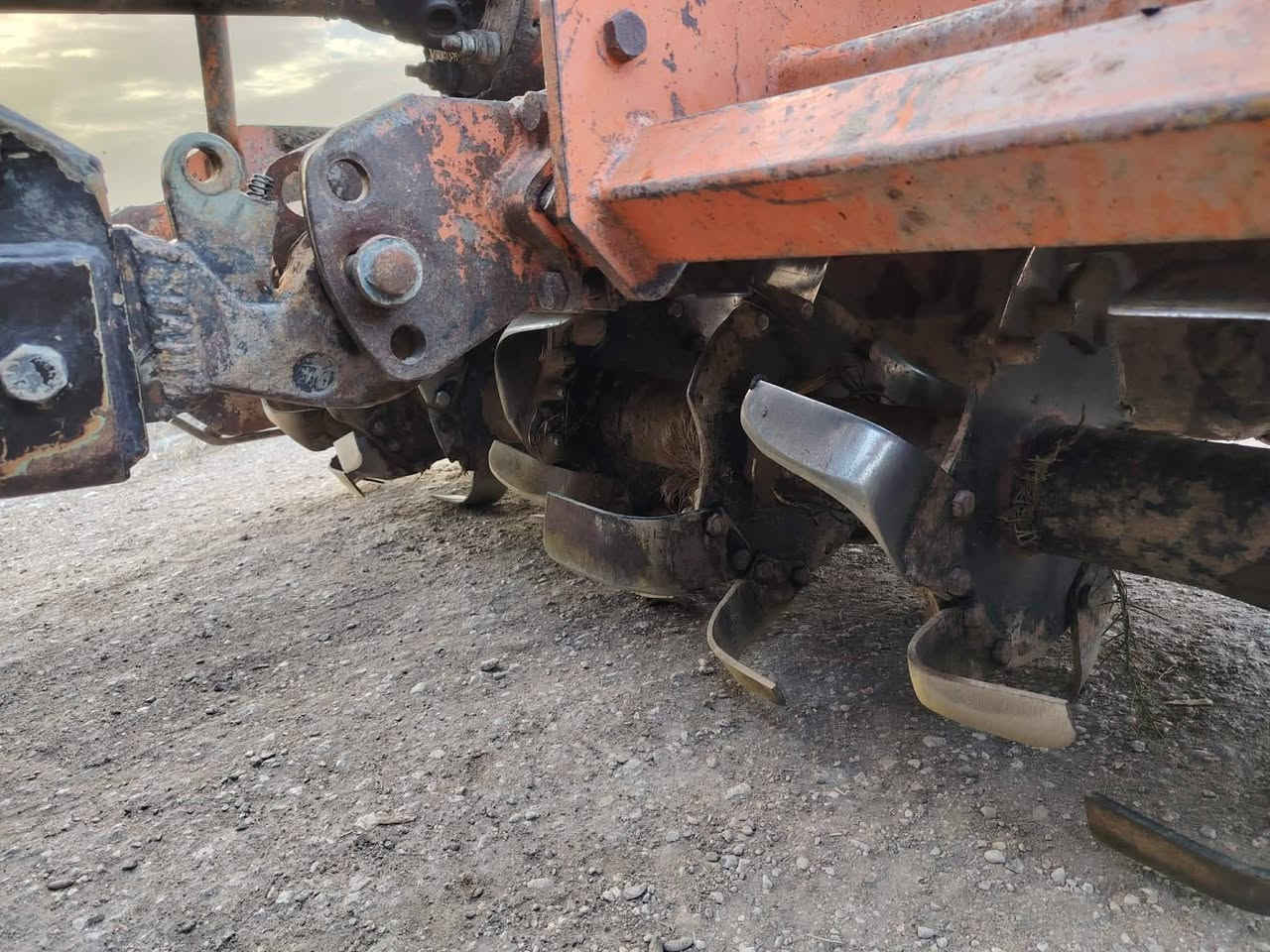 للبيع رفاس نكليزي ***********
