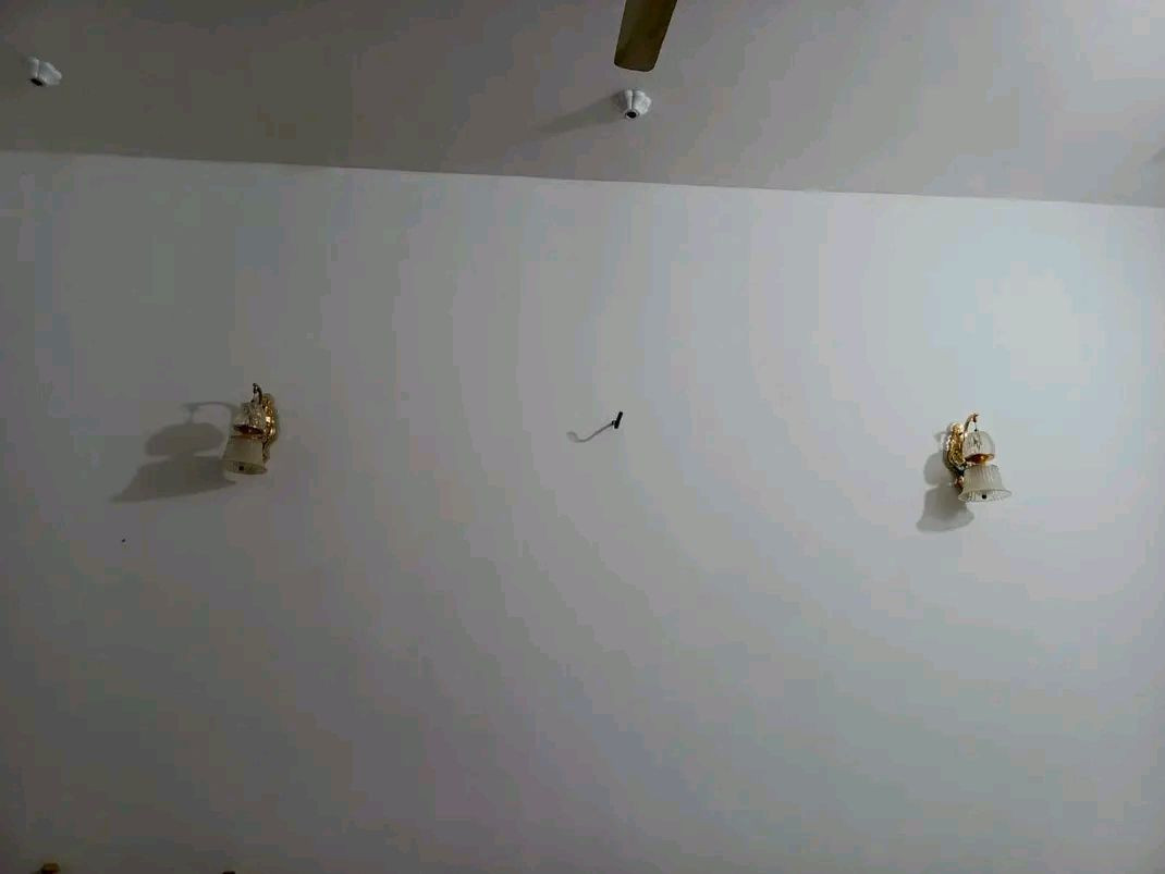 السلام عليكم
بيت خلفي مساحه 100 متر طابو بنيان جديد طابوك
 لسكف صب كونكريت 
 لاستفسار ***********
