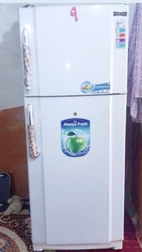 كونكورد • حجم عملاق • نجف الرحمه